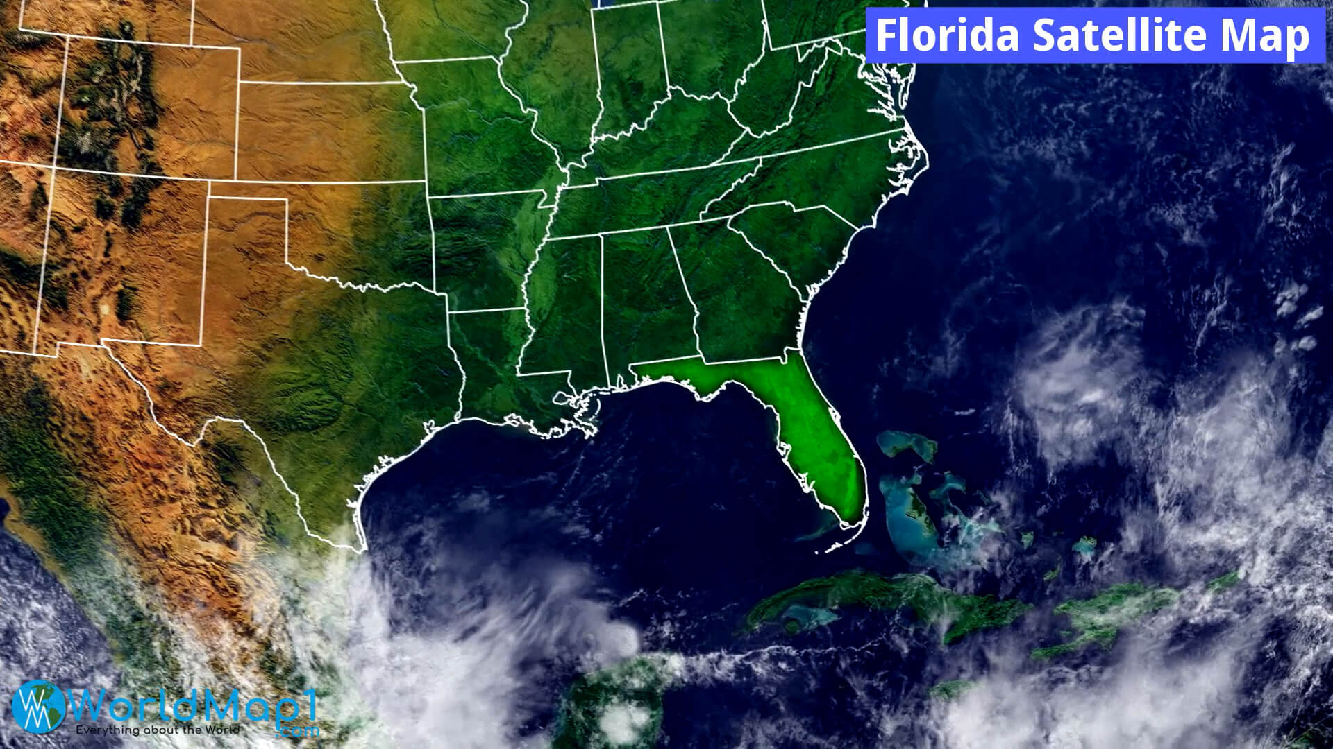 Florida Satellite Map
